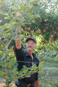 Gerry Drolet, Orchard Manager